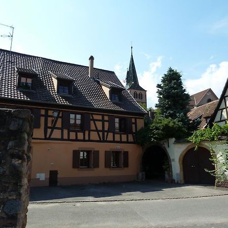 TURCKHEIM, 10 min Colmar - Gîte Coté Vignes Esterno foto